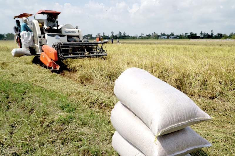 Phải tăng lên về hạn mức giao đất, cho thuê đất mới có thể triển khai đầu tư quy mô lớn trong nông nghiệp, “cởi trói” được cho doanh nghiệp nông nghiệp quy mô lớn.