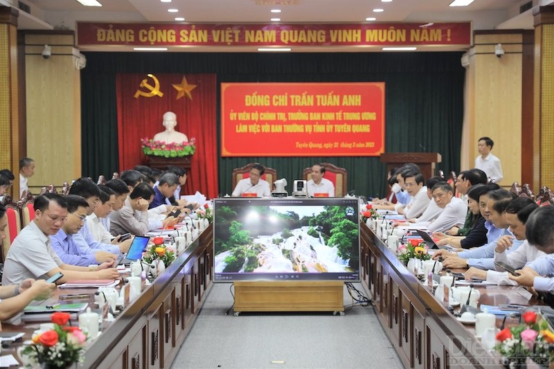 buổi làm việc với Ban Thường vụ Tỉnh ủy Tuyên Quang về sơ kết 5 năm thực hiện Chỉ thị số 13-CT/TW