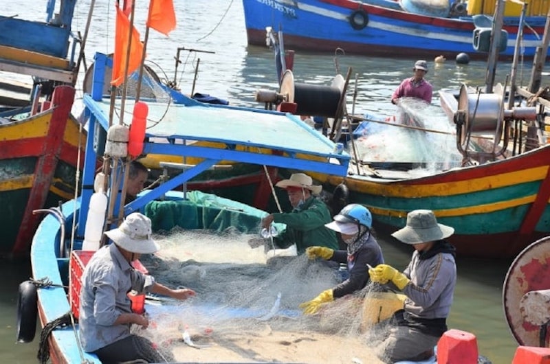 “Thẻ vàng” IUU là động lực để đổi mới nghề cá của Việt Nam theo hướng tốt hơn, có trách nhiệm hơn.