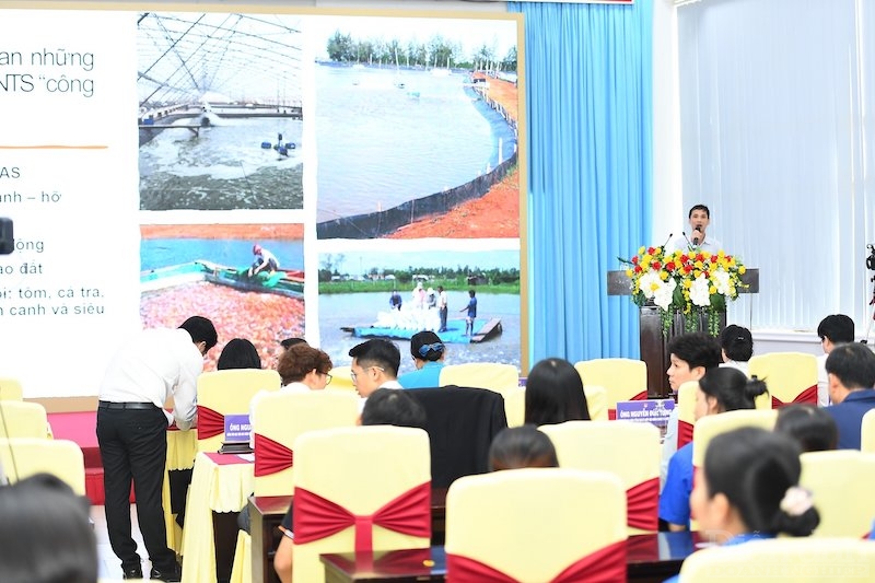 PGS. TS. Võ Nam Sơn, Trường Đại học Cần Thơ cho biết, từng có nhiều công nghệ được áp dụng trong quá trình nuôi cá tra