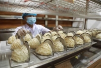 Nâng cao chất lượng tổ yến Việt chinh phục thị trường "khó tính"