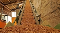 Gặp khó ở thị trường chính, xuất khẩu viên nén gỗ có "về đích"?
