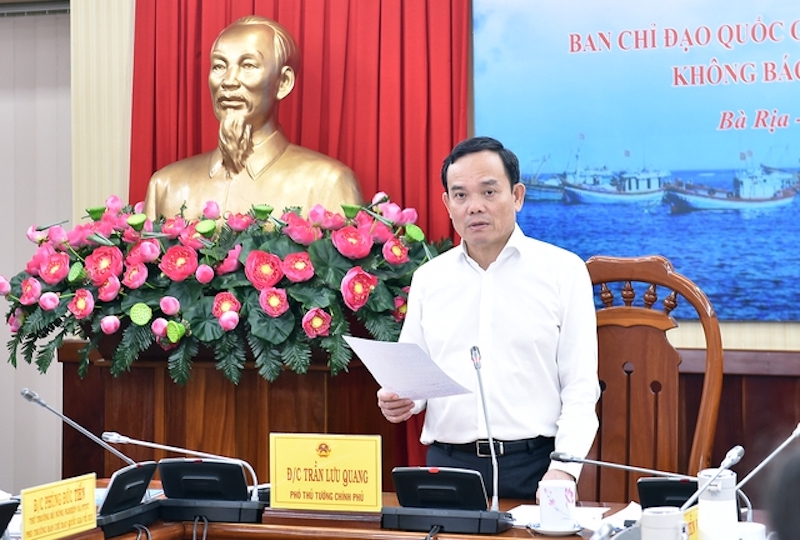 Phó Thủ tướng Chính phủ Trần Lưu Quang đã chủ trì cuộc họp lần thứ 8 Ban chỉ đạo quốc gia về chống khai thác hải sản bất hợp pháp không báo cáo và không theo quy định (IUU).