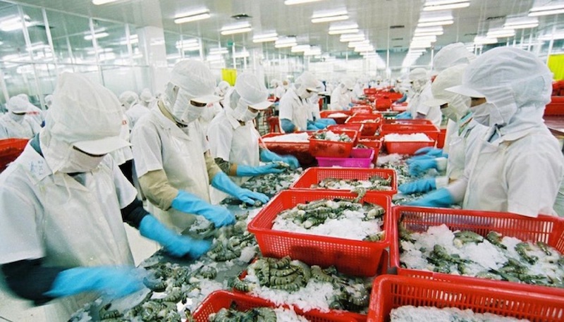 Mỹ và Trung Quốc tiếp tục là hai thị trường lớn nhất của xuất khẩu tôm Việt Nam trong năm 2024.