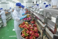 Doanh nghiệp liên kết để “đồng chất” nông sản xuất khẩu