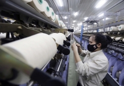 Brazil điều tra chống bán phá giá xơ sợi staple nhân tạo từ polyeste của Việt Nam
