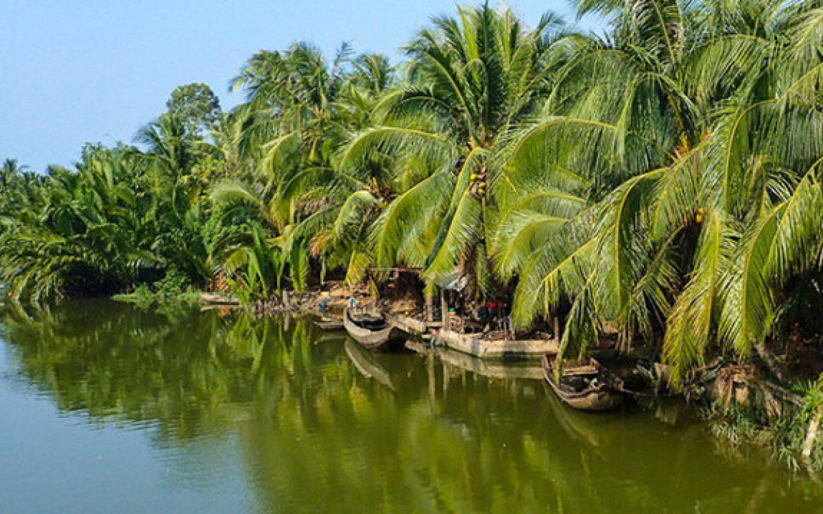 Trải nghiệm du lịch vườn dừa Bến Tre