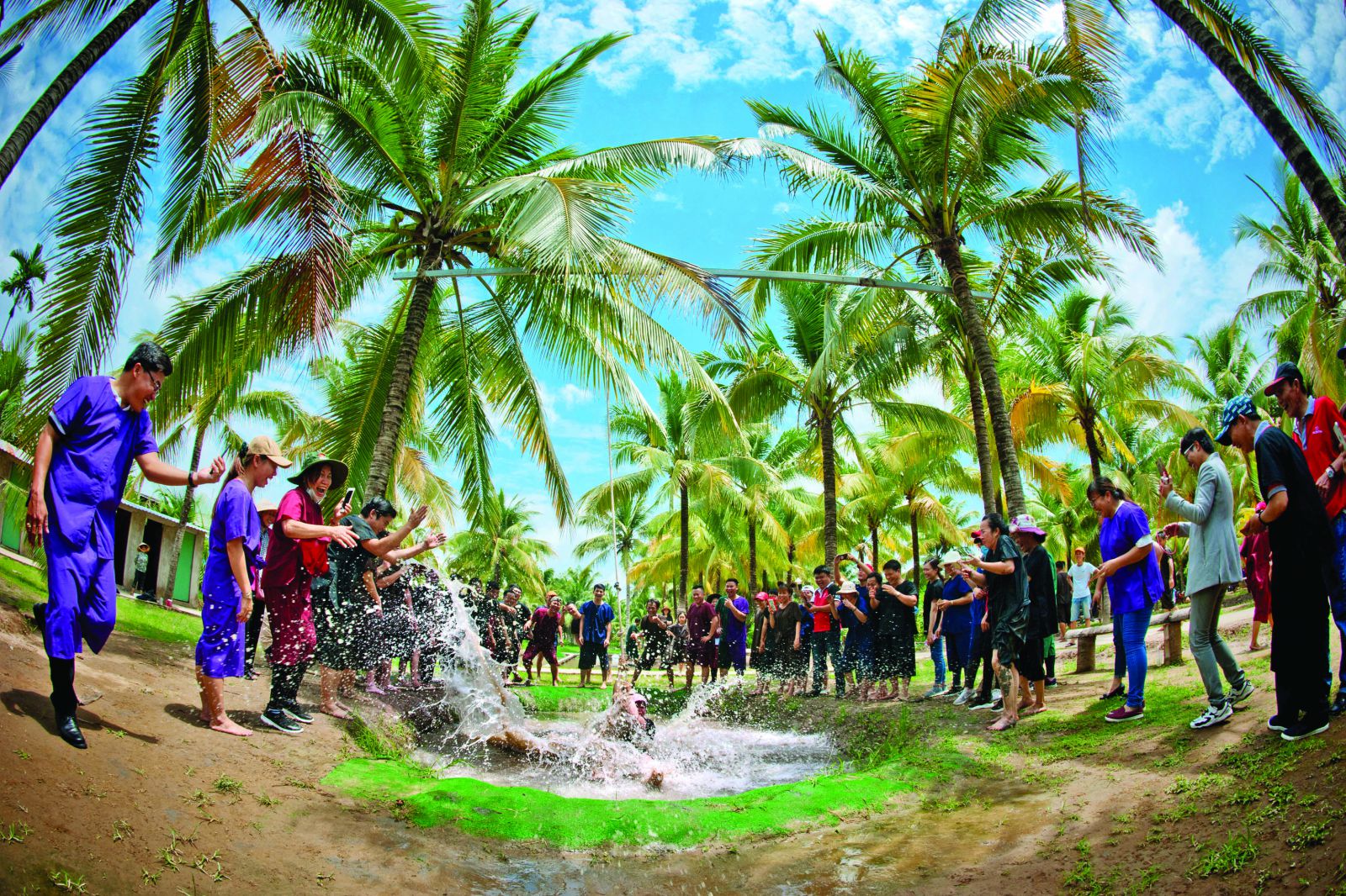 Du khách thăm quan trải nghiệm trong vườn dừa