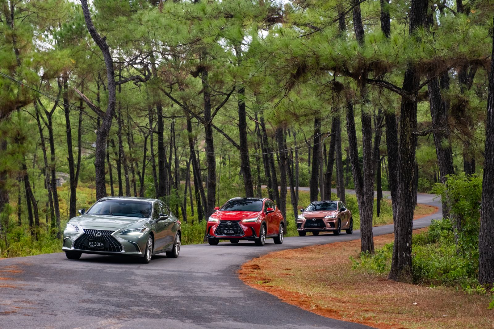 Lexus nhanh chóng thành công khi tiên phong giới thiệu mẫu xe Hybrid hạng sang đầu tiên thế giới. 