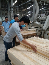 Ngành gỗ cần nhân lực trình độ cao