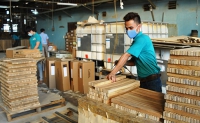 Doanh nghiệp gỗ vẫn “lơ mơ” về giấy phép FLEGT