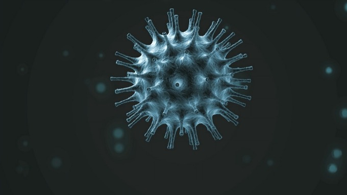 Virus Corona đã sinh thêm chủng mới?