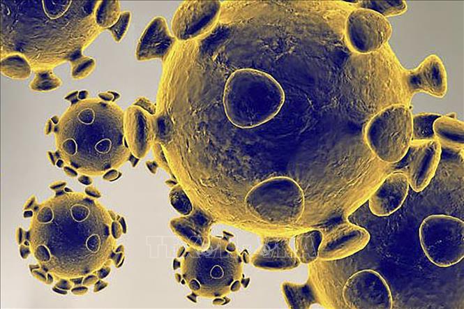 Trung Quốc siết các công bố về nguồn gốc virus Corona chủng mới