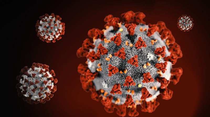 Có khả năng thế giới sẽ mất nhiều năm để có câu trả lời chính xác về nguồn gốc virus SARS-CoV-2