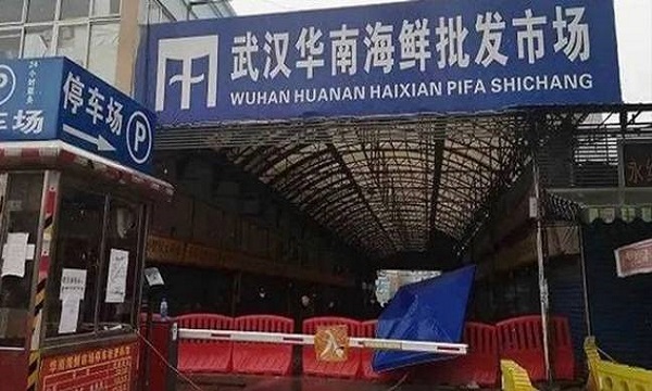 Vẫn còn nhiều nghi ngờ xung quanh chợ hải sản Hoa Nam, Vũ Hán