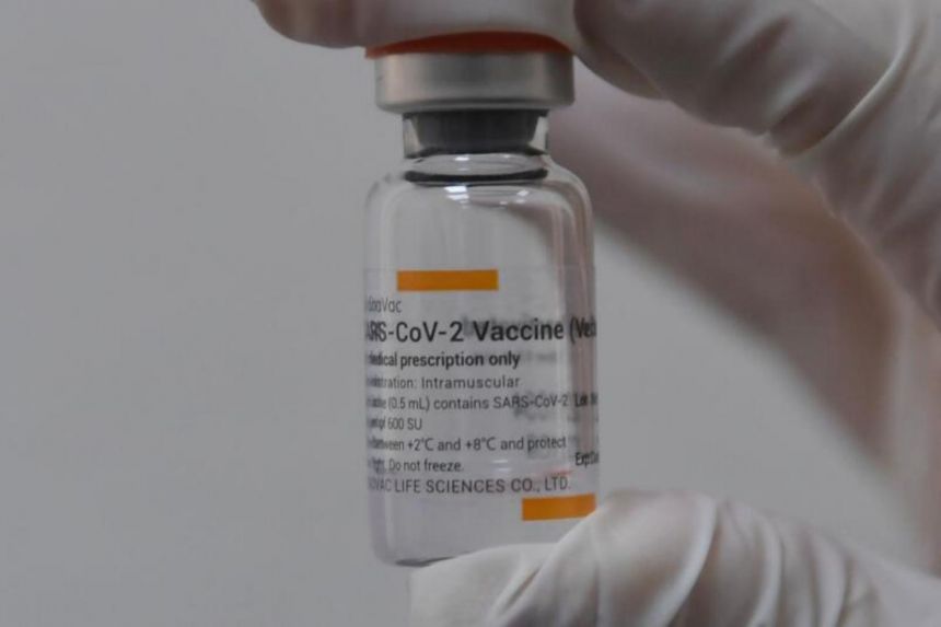 Phần lớn vaccine được sử dụng trong chiến dịch tiêm chủng diện rộng tại Chile là vaccine Sinovac.