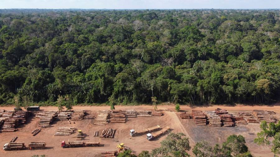 Thỏa thuận chống phá rừng được