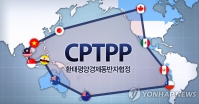 Cơ hội của CPTPP: Góc nhìn từ Hàn Quốc