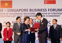 Xu hướng đầu tư mới từ Singapore vào Việt Nam
