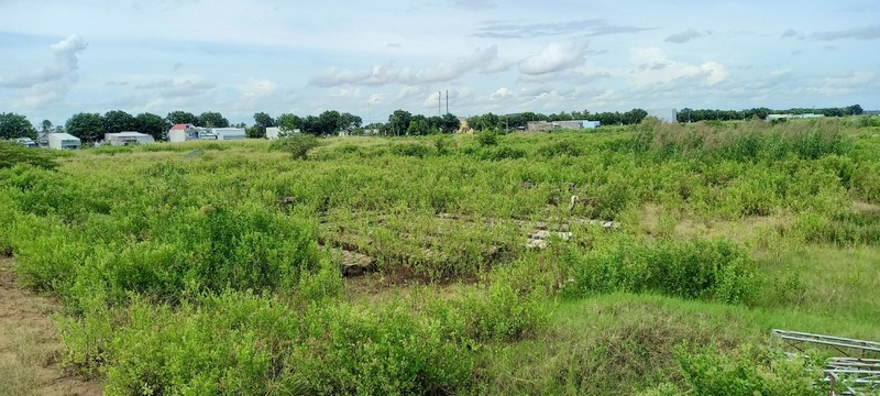 Dự án bị ngưng trệ, gần 4 ha đất ở vị trí đắc địa bỏ hoang nhiều năm nay.