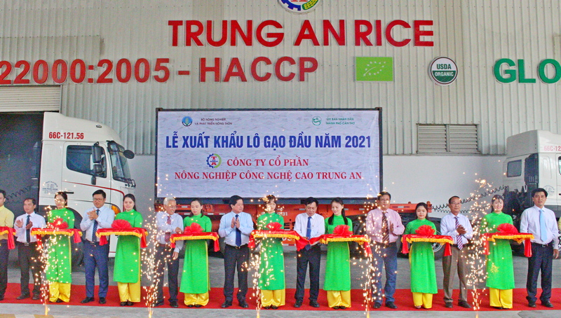 Công ty cổ phần nông nghiệp công nghệ cao Trung An được Bộ NN&PTNT chọn là đơn vị xuất khẩu lô gạo đầu tiên năm 2021.