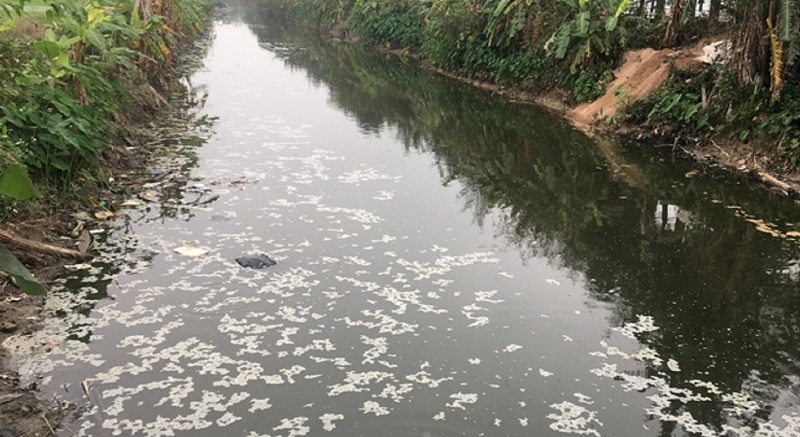 Tình trạng ô nhiễm nguồn nước trên tuyến kênh Đò Cậy - Tiên Kiều ( Cẩm Giàng) đang ở mức báo động