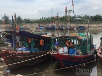 Hải Phòng: Giá xăng dầu tăng cao khiến ngư dân không dám cho tàu ra khơi