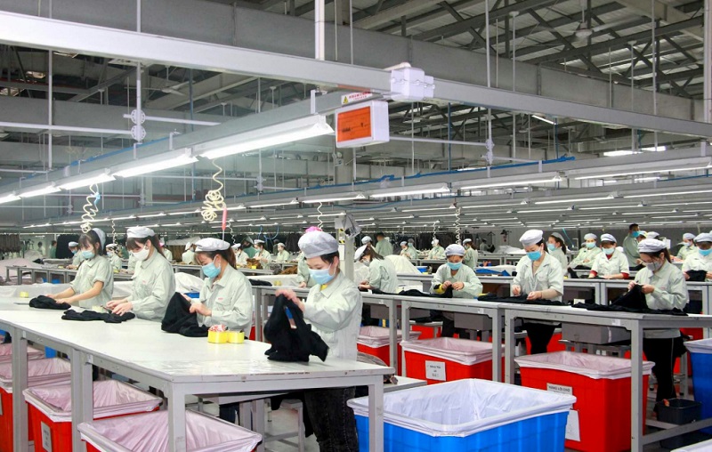 Công nhân trong dây chuyền sản xuất các sản phẩm dệt may của Công ty TNHH May mặc Hoa Lợi Đạt Việt Nam tại KCN cảng biển Hải Hà.