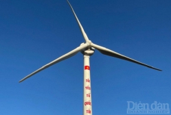 Hải Phòng: Bitexco sắp đầu tư 11 tỷ USD điện gió vào Bạch Long Vỹ