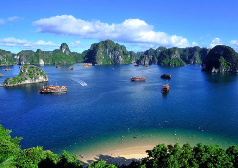 Quảng Ninh là một trong 28 tỉnh, thành trên cả nước có biển, với trên 2.000 đảo lớn nhỏ, dải bờ biển dài 250km, có 40.000ha bãi triều và trên 20.000ha eo, vịnh với nguồn tài nguyên thủy sản có giá trị kinh tế cao.