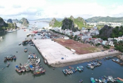 Quảng Ninh: Cần "sức bật" để phát triển nuôi trồng thủy sản