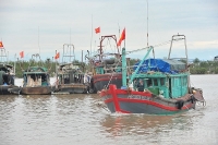Hải Phòng: Quyết tâm chấm dứt tình trạng tàu cá vi phạm IUU để gỡ "thẻ vàng"