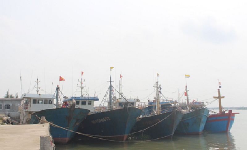 Toàn tỉnh đã có 341/373 tàu cá được kiểm tra an toàn kỹ thuật và cấp giấy chứng nhận đủ khả năng hoạt động khai thác hải sản; 563/737 tàu cá được cấp giấy phép khai thác thủy sản.
