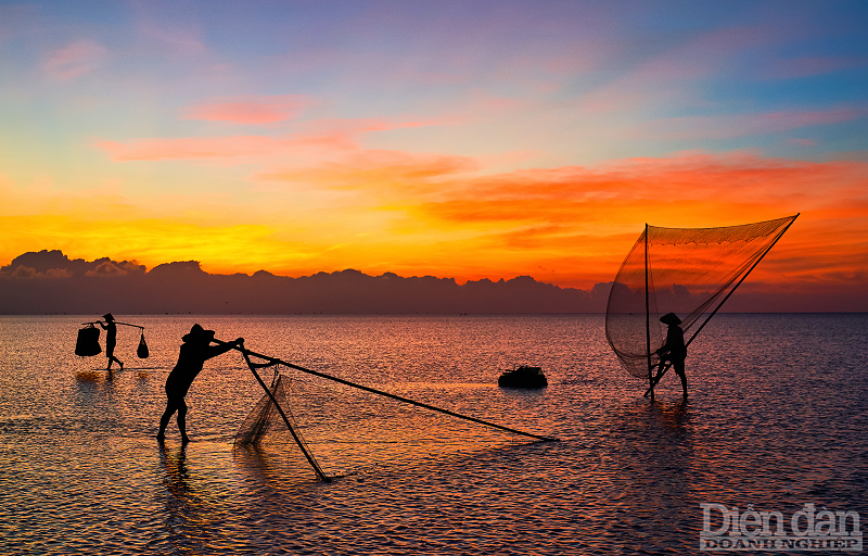Trải nghiệm kéo lưới vào buổi sớm mai - Thái Thụy - Thái Bình (ảnh Thắng Nguyễn)