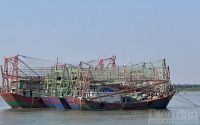 Thái Bình: Quyết liệt chống khai thác hải sản bất hợp pháp