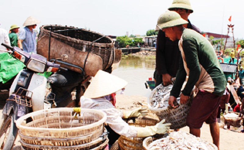 Những năm qua, tỉnh Nam Định đã đẩy mạnh ứng dụng KH và CN trong phát triển kinh tế biển theo hướng nâng cao năng suất, chất lượng nuôi trồng, khai thác, chế biến thủy sản gắn với bảo vệ môi trường.(ảnh minh họa)