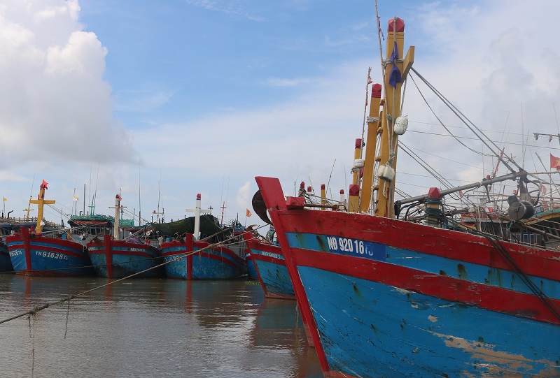 Nam Định quyết tâm tháo gỡ “thẻ vàng”, kiên quyết “cấm” biển tàu cá vi phạm