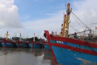 Nam Định: Nỗ lực cùng ngư dân gỡ 