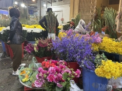 Hải Phòng: Chợ hoa đêm ngày 30 Tết