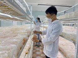 Nông nghiệp Nam Định thời công nghệ số