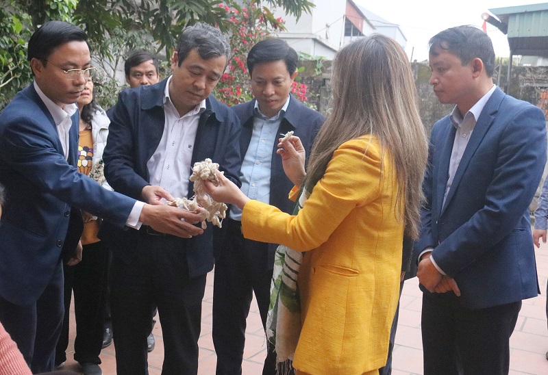 Ông Ngô Đông Hải, Ủy viên Ban Chấp hành Trung ương Đảng, Bí thư Tỉnh ủy đã tới thăm mô hình sản xuất HTX Lụa đũi Nam Cao - Kiến Xương (ảnh báo Thái Bình)