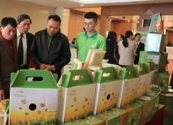 Thái Bình: Phấn đấu xây dựng 5 thương hiệu lúa gạo Quốc gia