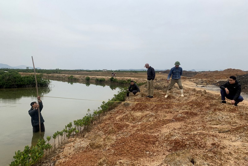 Trung tâm PTQĐ TX Quảng Yên thực hiện công tác kiểm đếm đền bù dự án đường ven sông (ảnh báo Quảng Ninh)