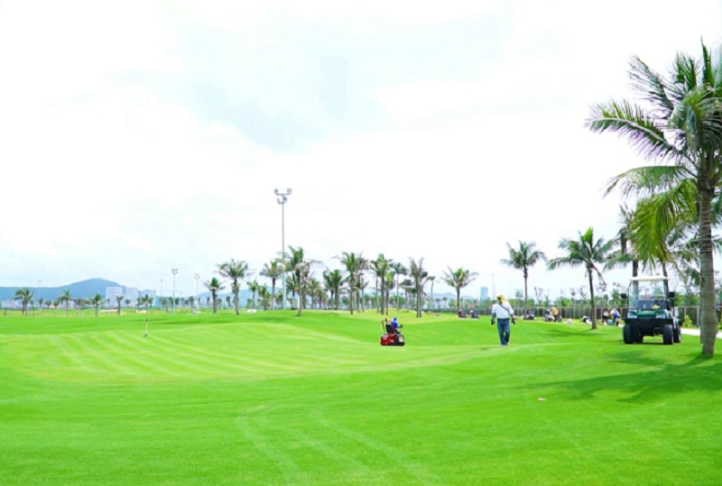 Trải nghiệm du lịch sân golf Tuần Châu có quy mô lớn nhất trên địa bàn tỉnh Quảng Ninh