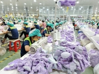 Thái Bình: Liên kết vùng thúc đẩy kinh tế doanh nghiệp phát triển