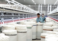 Thái Bình: Xây dựng văn hóa doanh nghiệp thời đại công nghiệp 4.0