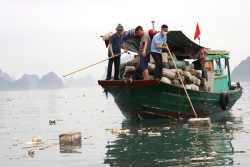 Quảng Ninh: Ra quân vệ sinh môi trường trên Vịnh Hạ Long