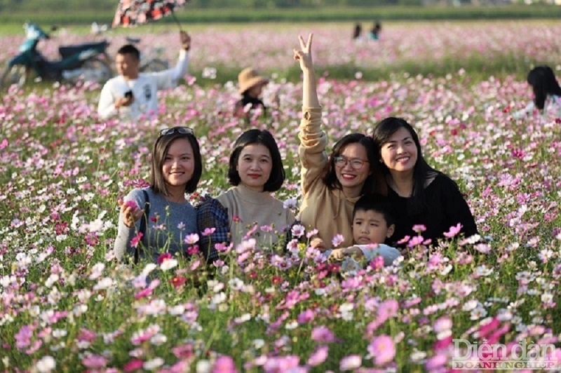 Trải nghiệm du lịch làng hoa tại huyện Vũ Thư