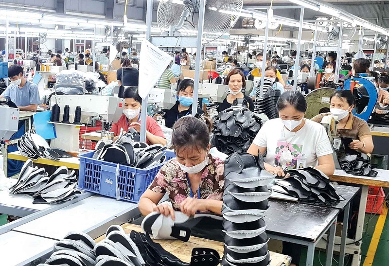 Sản xuất tại Công ty TNHH Bảo hộ lao động Lan Phú (ảnh báo Thái Bình)