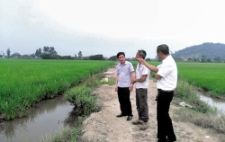 Nam Định: Thu hút doanh nghiệp đầu tư vào nông nghiệp